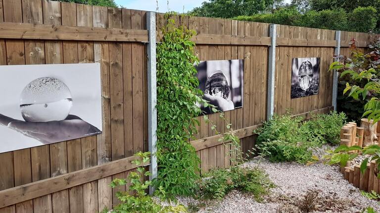 Fotografie v zahradě Fotografie v zahradě