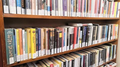 Výroční zpráva knihovny za rok 2024