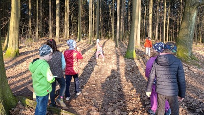 Hledáme ukradené ponožky v lese u knihovny.