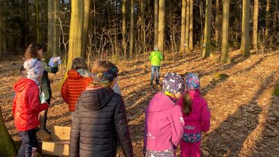 Hledáme ukradené ponožky v lese u knihovny.