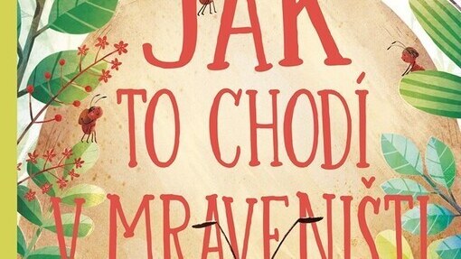 Jak to chodí v mraveništi