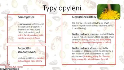 Typy opylení