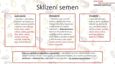 Sklízení semen