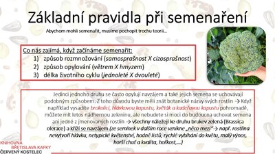 Základní pravidla semenaření